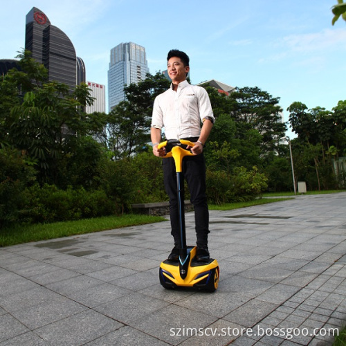 Electric Self-Balancing Thinking Car